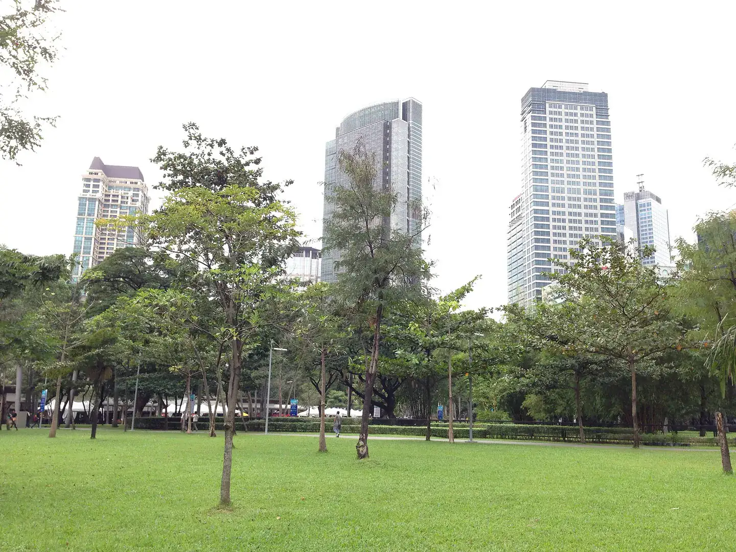 Trees and walkways at Ayala Triangle Gardens in Makati